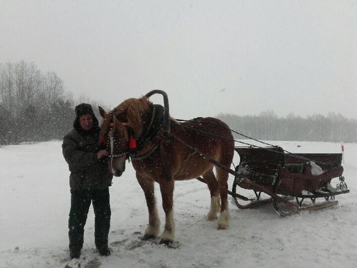 Dom Na Wsi ,, Koszelowka 